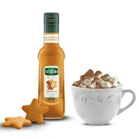 Teisseire Lebkuchen Sirup 250 ml